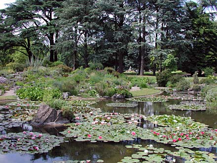 Pond in the Parc de la Tête d'Or