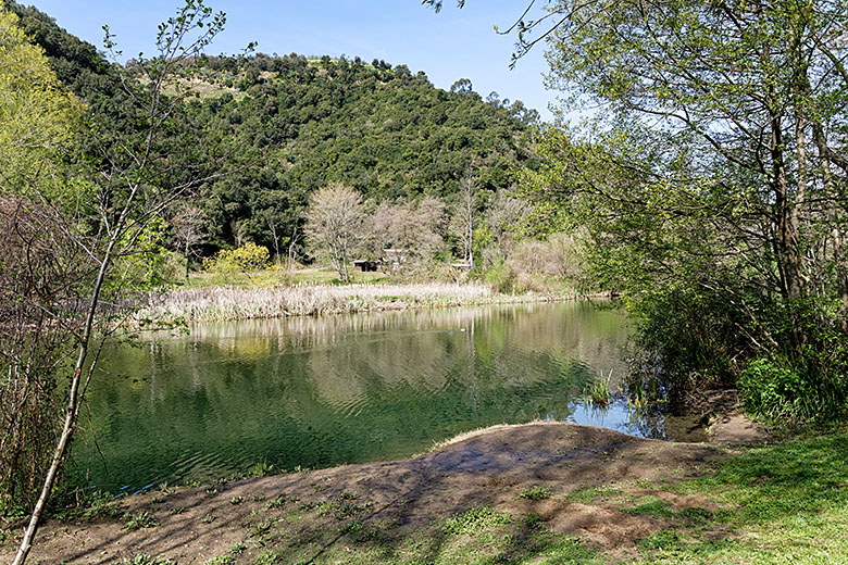 The Siagne near the 'Restaurant de l'Écluse'