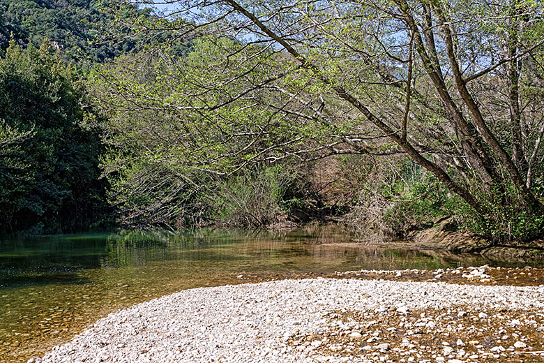 Looking downstream