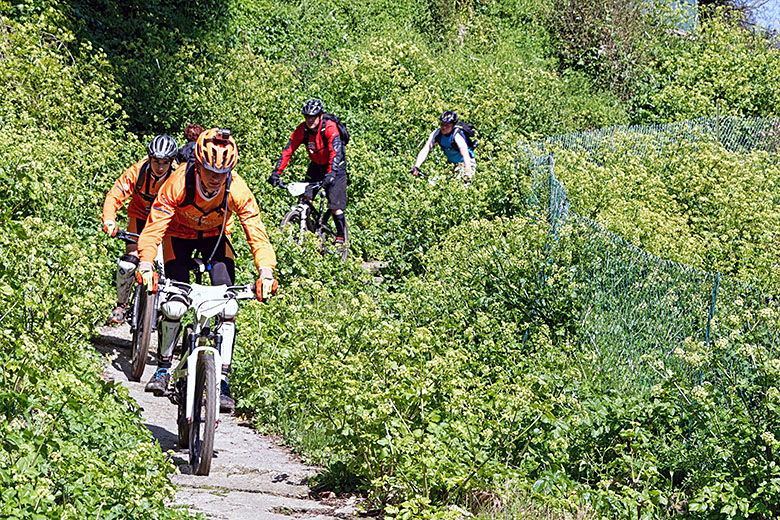 Avoiding the cyclists was not always easy