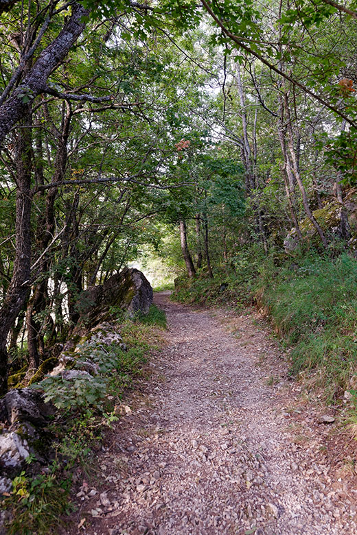The path to Saint Barnabé