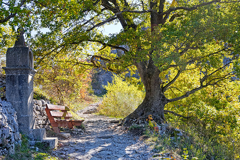 ...to the next bench.