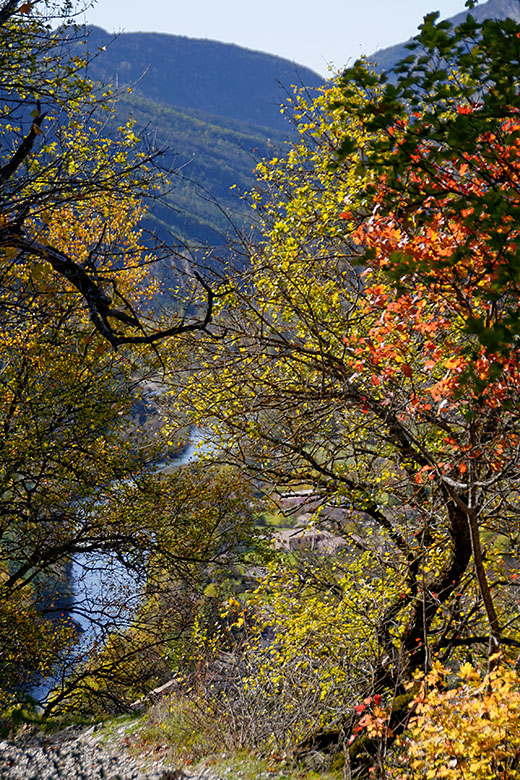 A glimpse of the Verdon