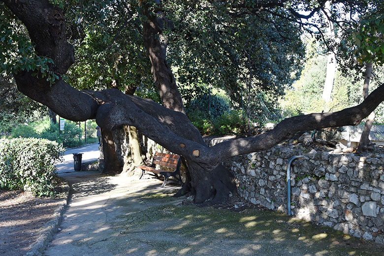 The park features some lovely walkways