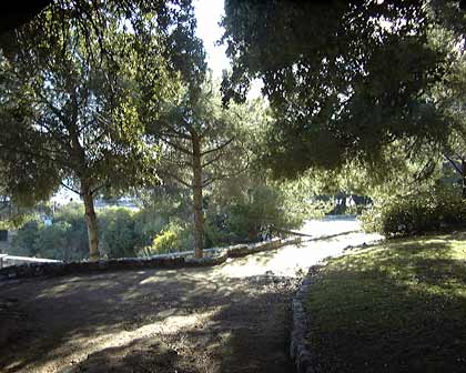 Park scene