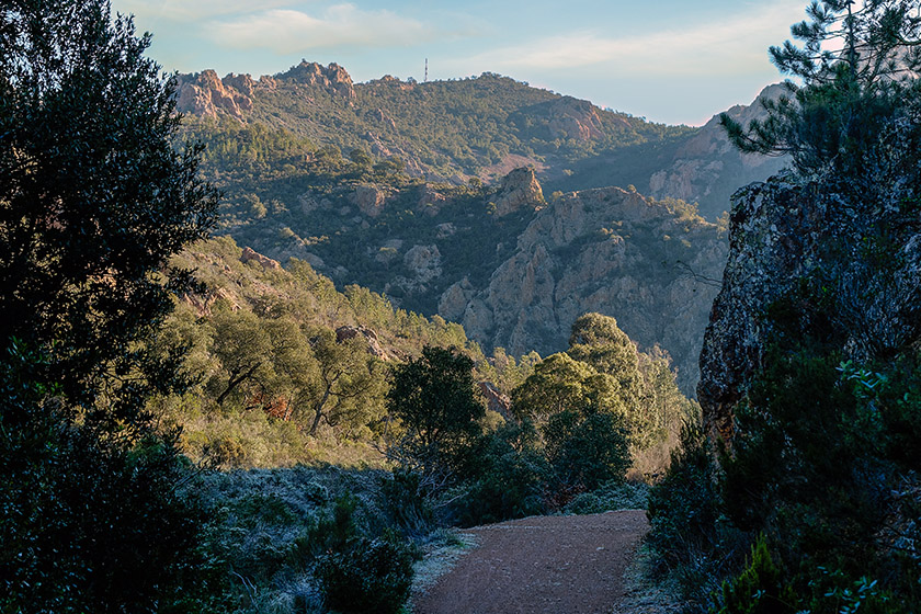 Leaving the ravine