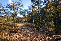 Towards the Ravin de la Couche de l'Ane