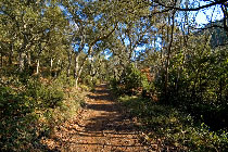 Climbing up the Ravin de la Couche de l'Ane