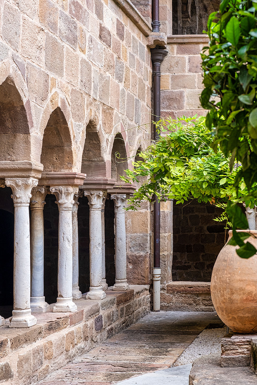 The cloister garden (6 on the map)