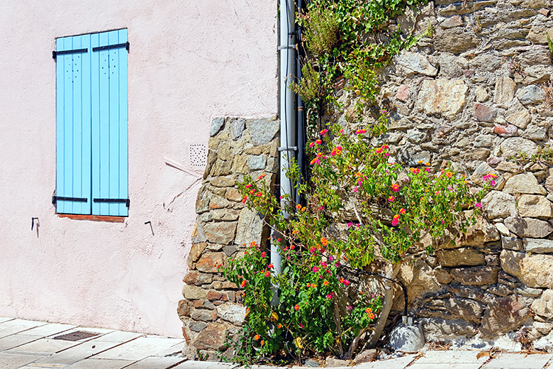 On the 'Rue de la Treille'
