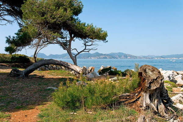 Saint-Honorat Island view