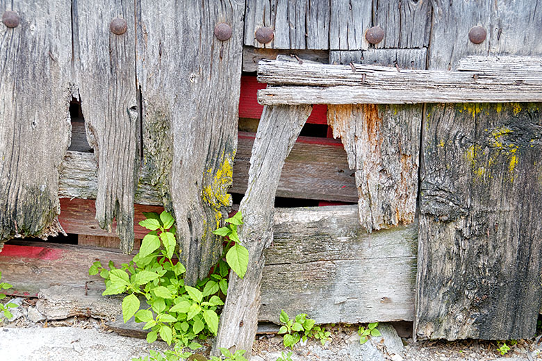 Old gate