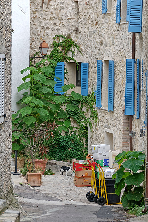 Blue shutters