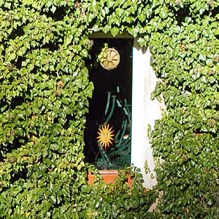 Ivy-framed window