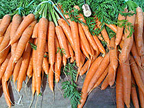 Carrots