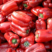 Red peppers