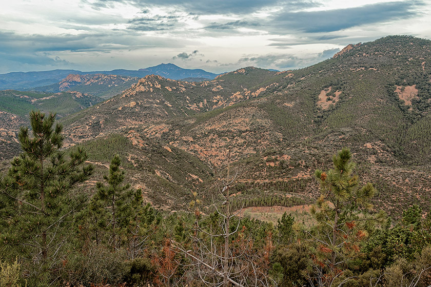 Looking inland