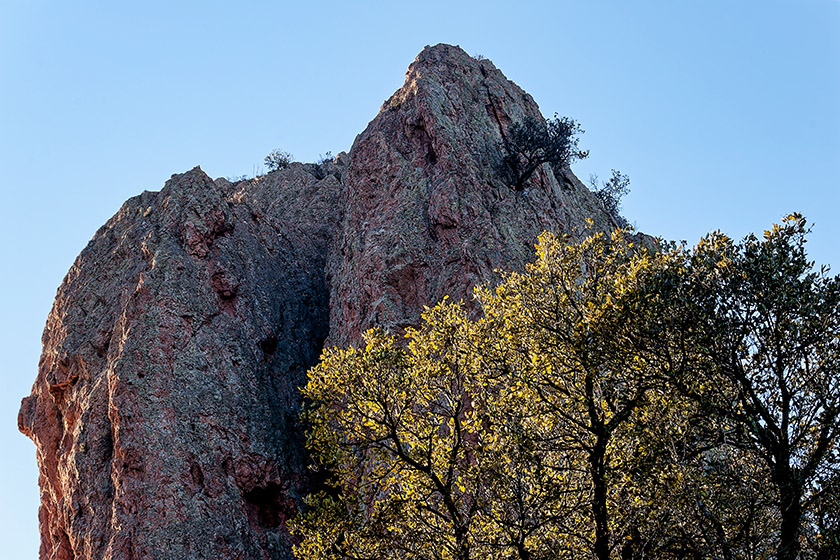 Early morning light