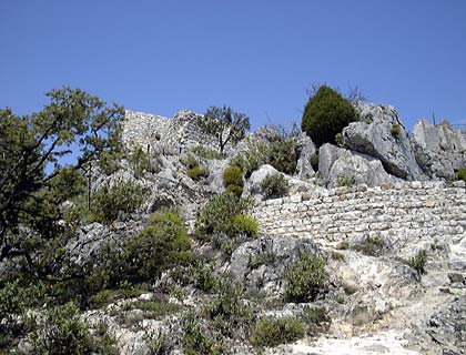 Ruins of the old castle