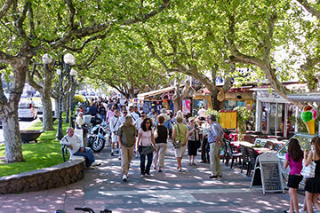 Restaurant alley under sycamore trees