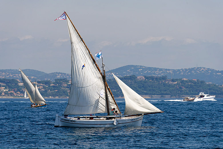 Regatta participant