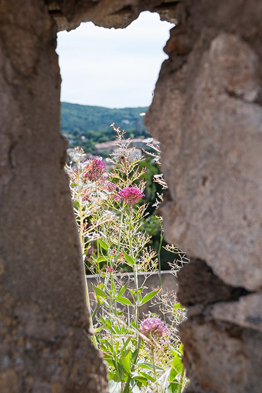 Looking through a crenel