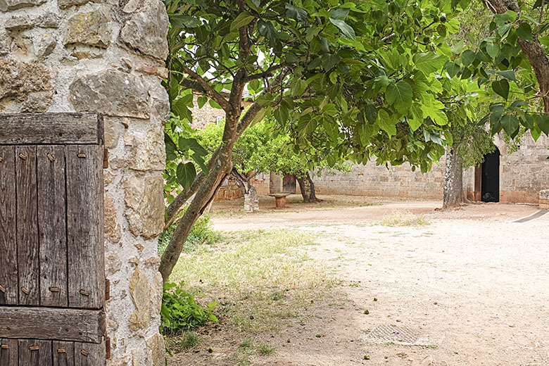 Approaching the church