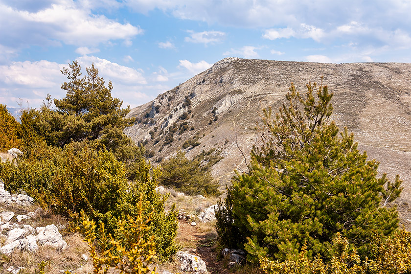 Looking back to the 'Puy de Tourrettes'