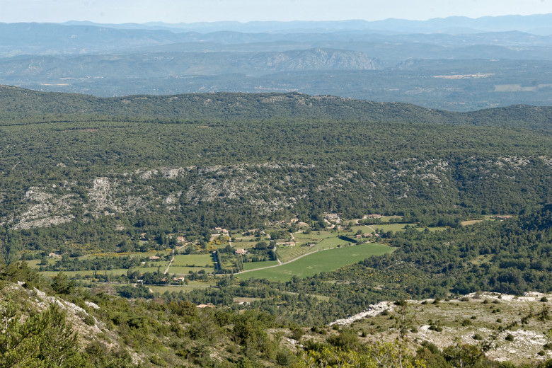 View north from higher up