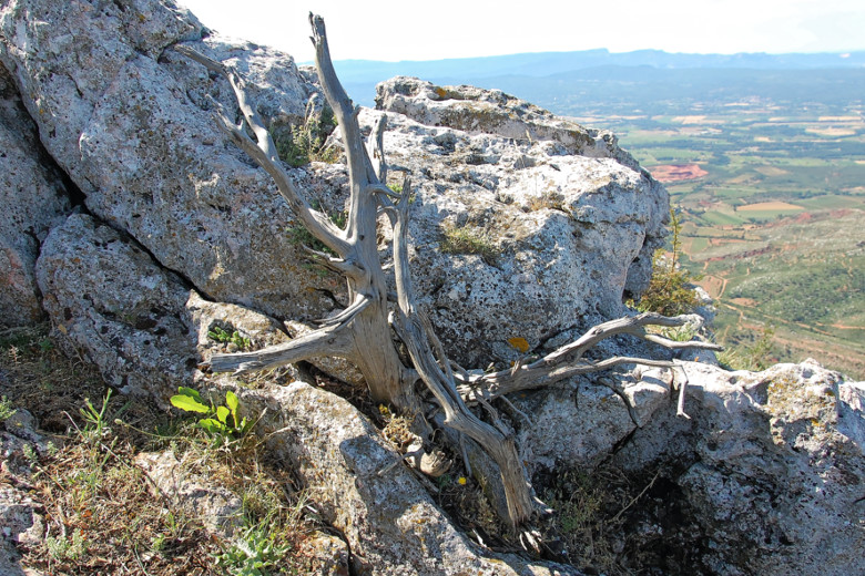 'Sainte Victoire' still life