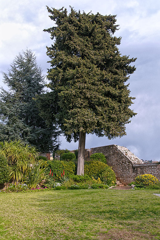 The citadel gardens