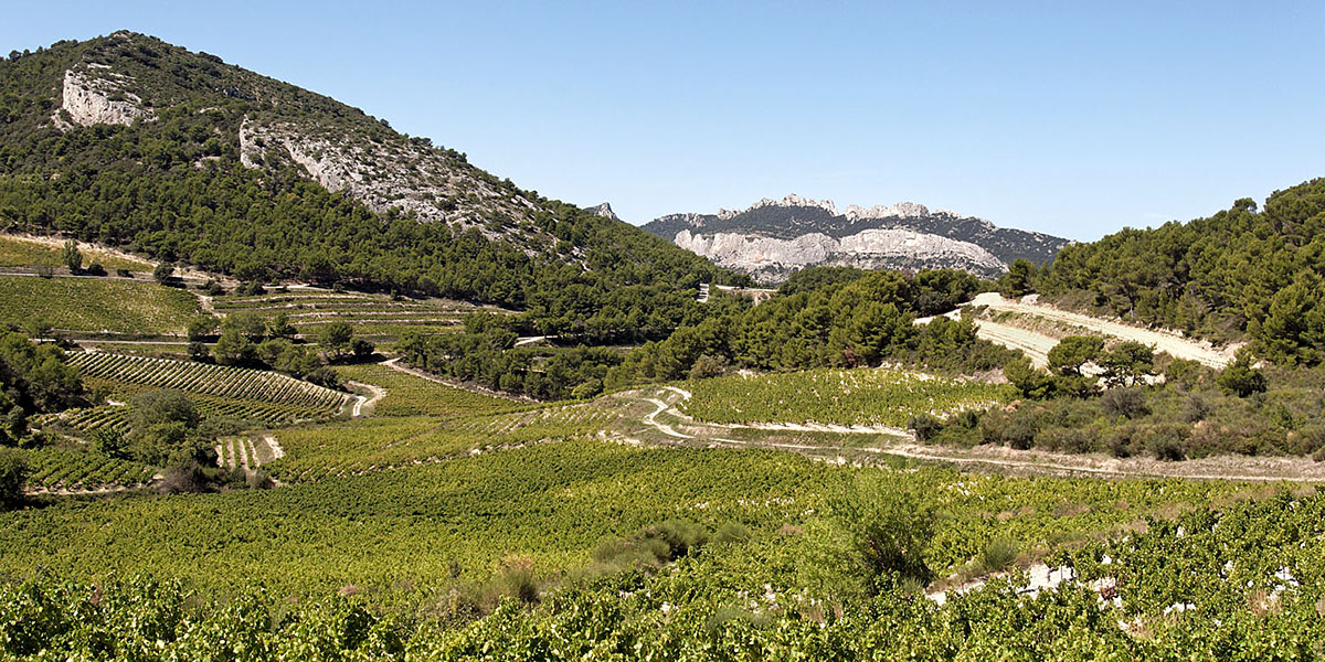 Beaumes-de-venise Wine Country