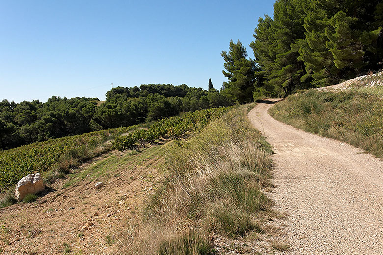 A lovely road to drive on