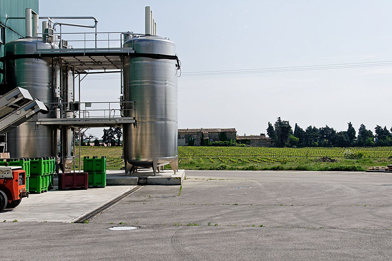 Walking across the grape delivery yard