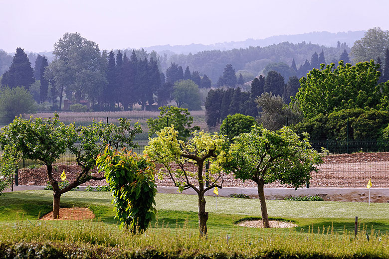 Behind the winery