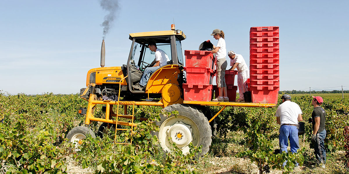 The tractor