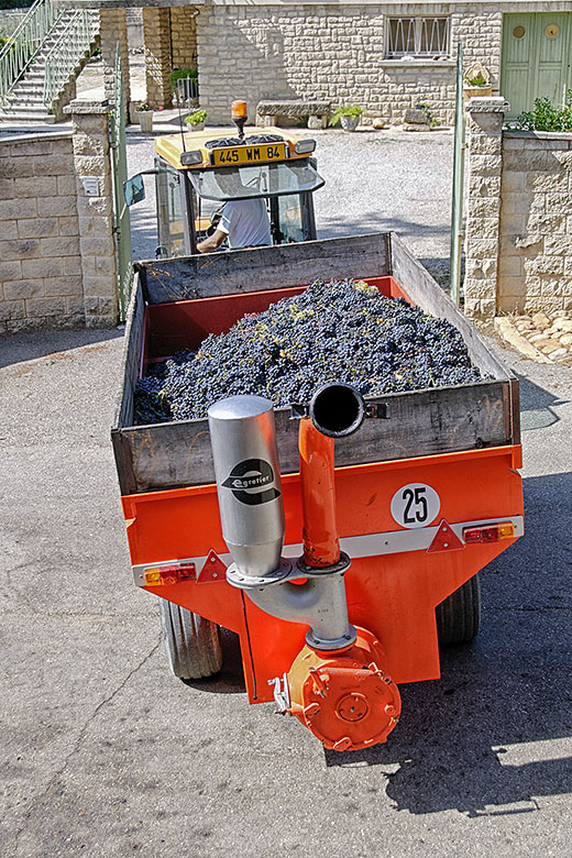 The rear of the harvesting bin