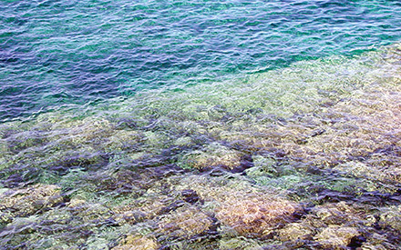 Seashore