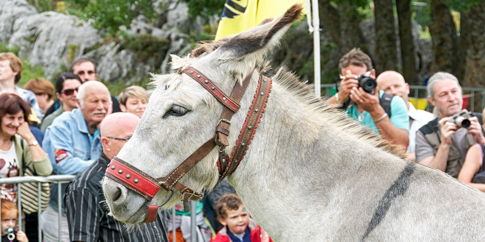 A performer at the 2014 Escragnolles Donkey Festival