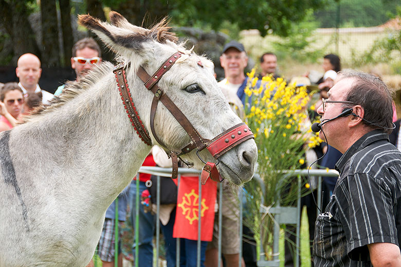 René Grassi and one of his donkeys