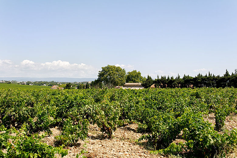 The main building is behind the cypress trees on the right