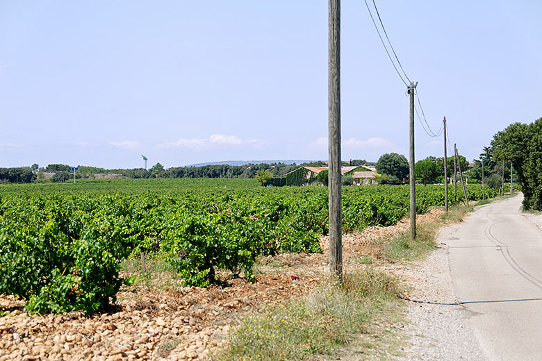 The border between 'Châteauneuf du Pape' and 'Côte du Rhône'