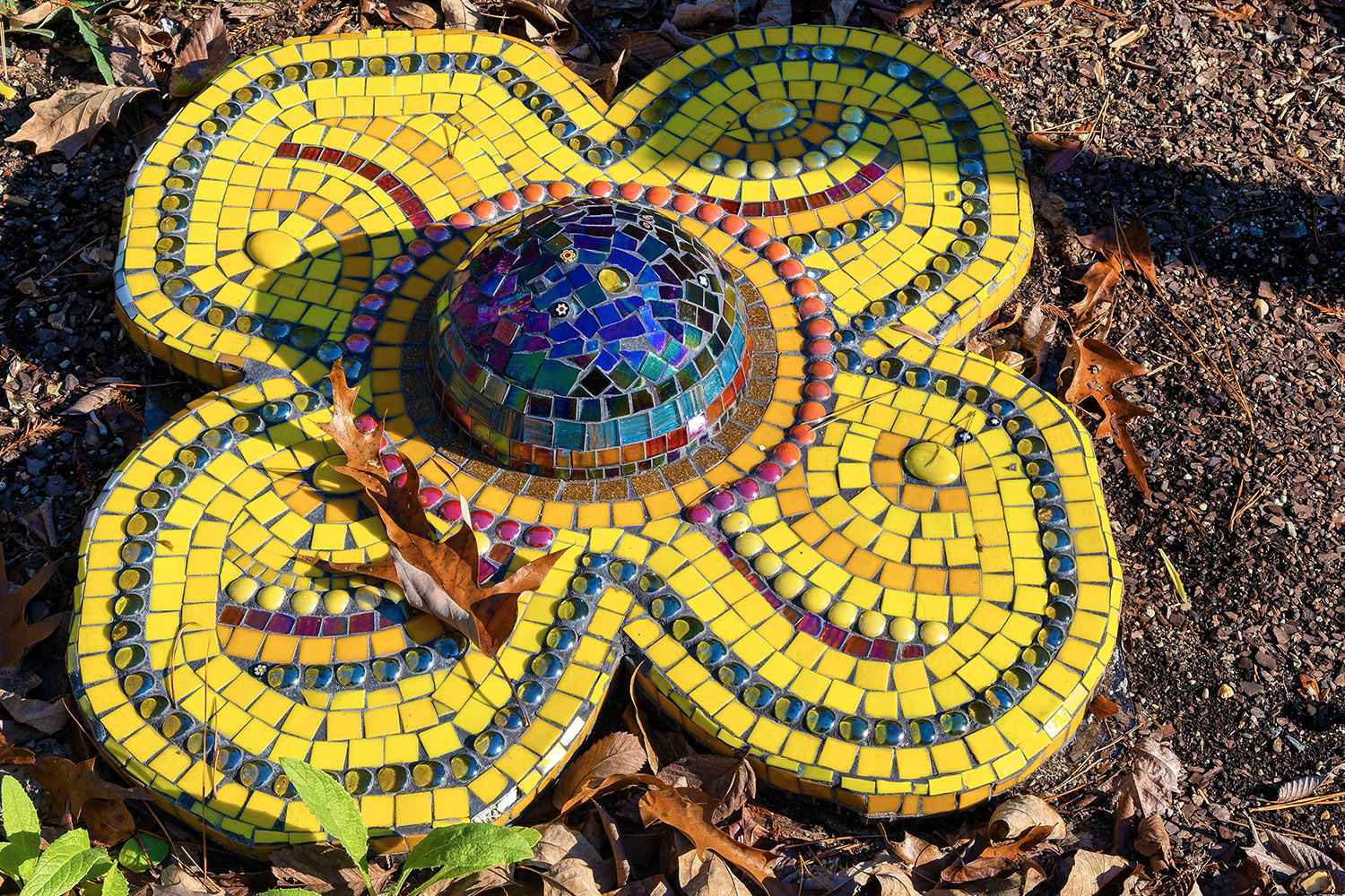 Mosaic Flower by Nileena Dash, Chapel Hill, NC (Mosaic)