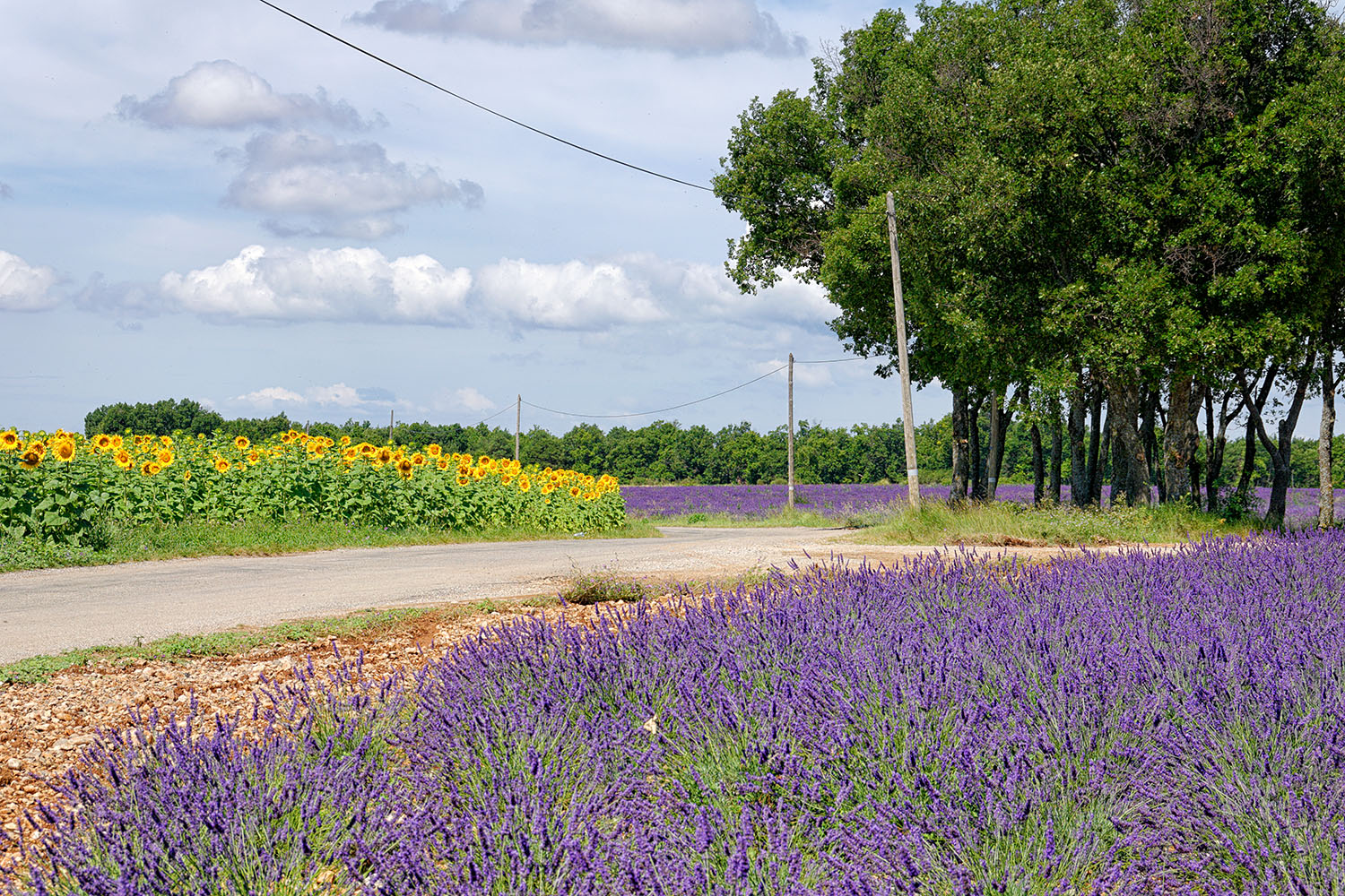 On this road, one is practically forced to stop every few hundred yards to admire the scenery.