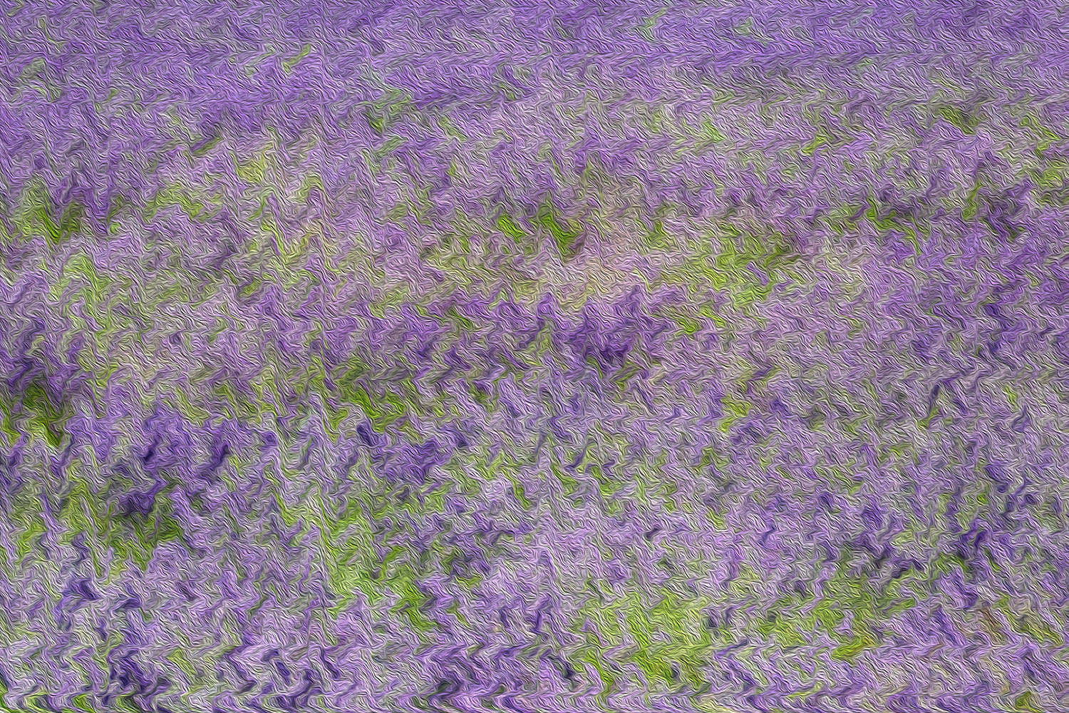 An abstract version of the 'Plateau de Valensole' lavender.