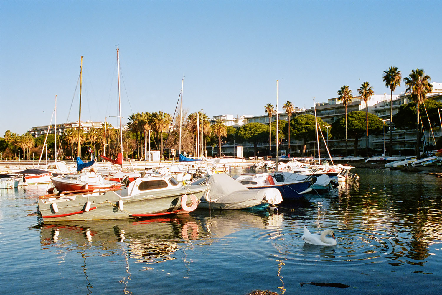 Cannes, 'Port Palm Beach'