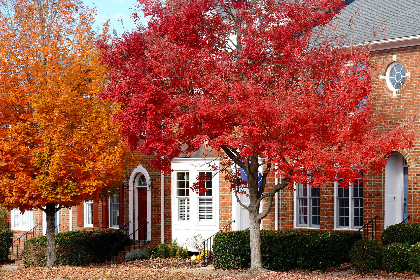 Southern Village Fall — Fujifilm X-T5 – ISO 125 – 1/220 – ƒ/5.6 – 83mm