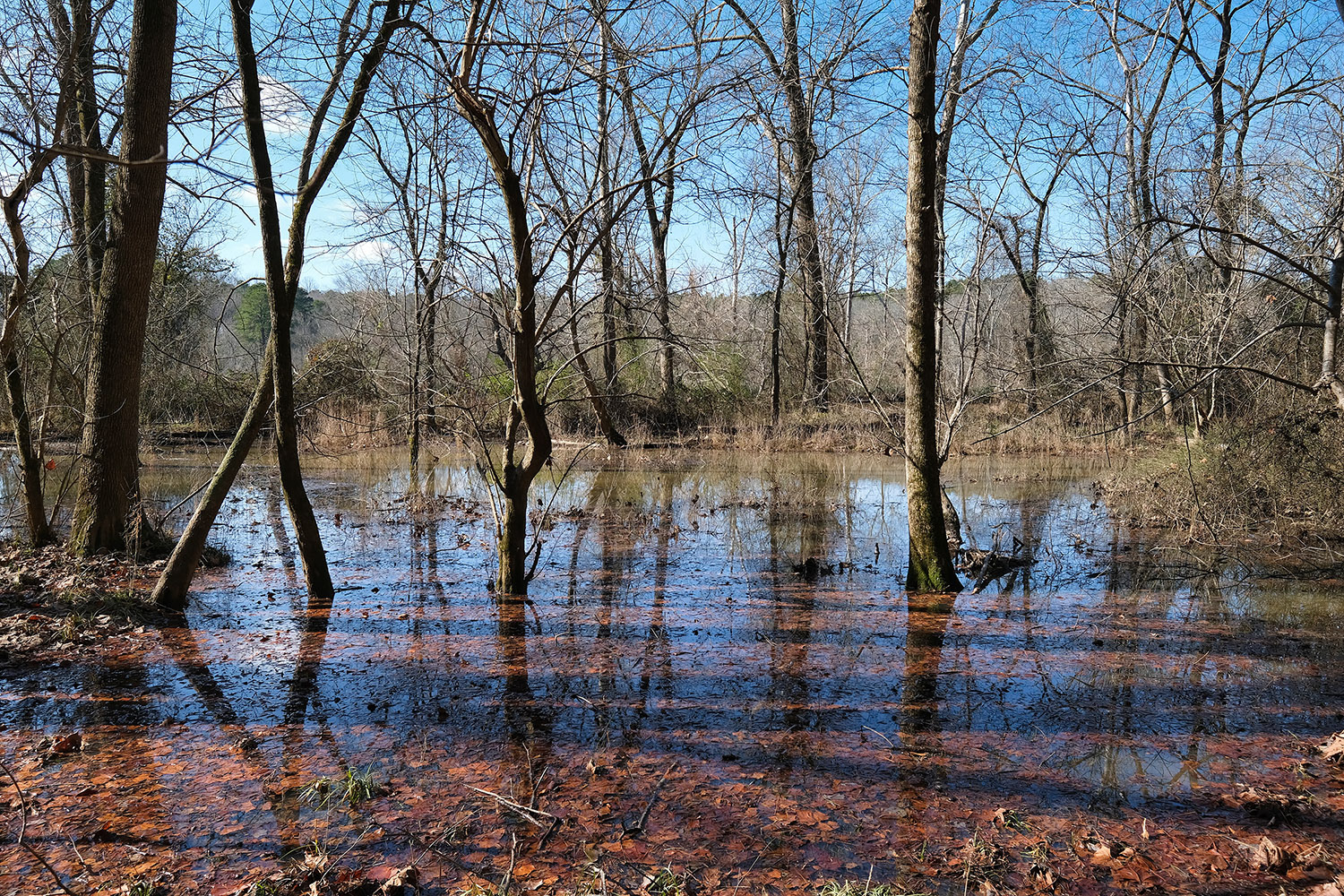 By the Haw River