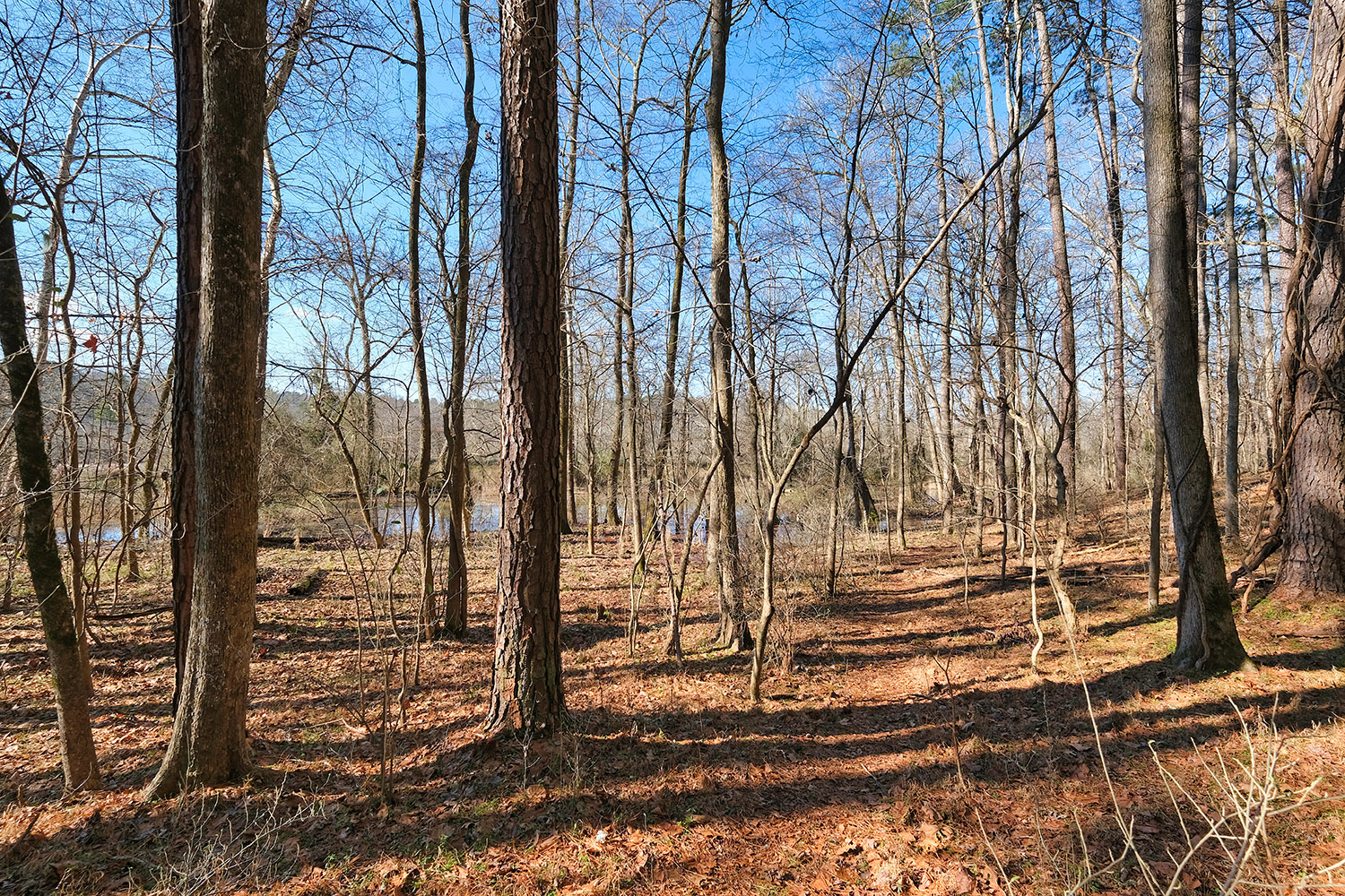 By the Haw River