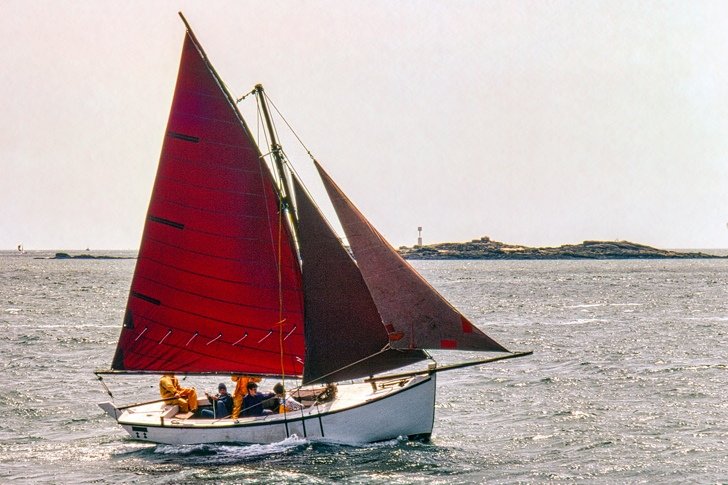 A sloop with a rust-colored main sail